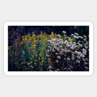 King's Park Flowers 2 Sticker